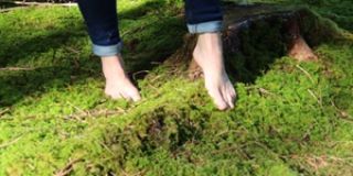 Barfuss auf dem Waldboden