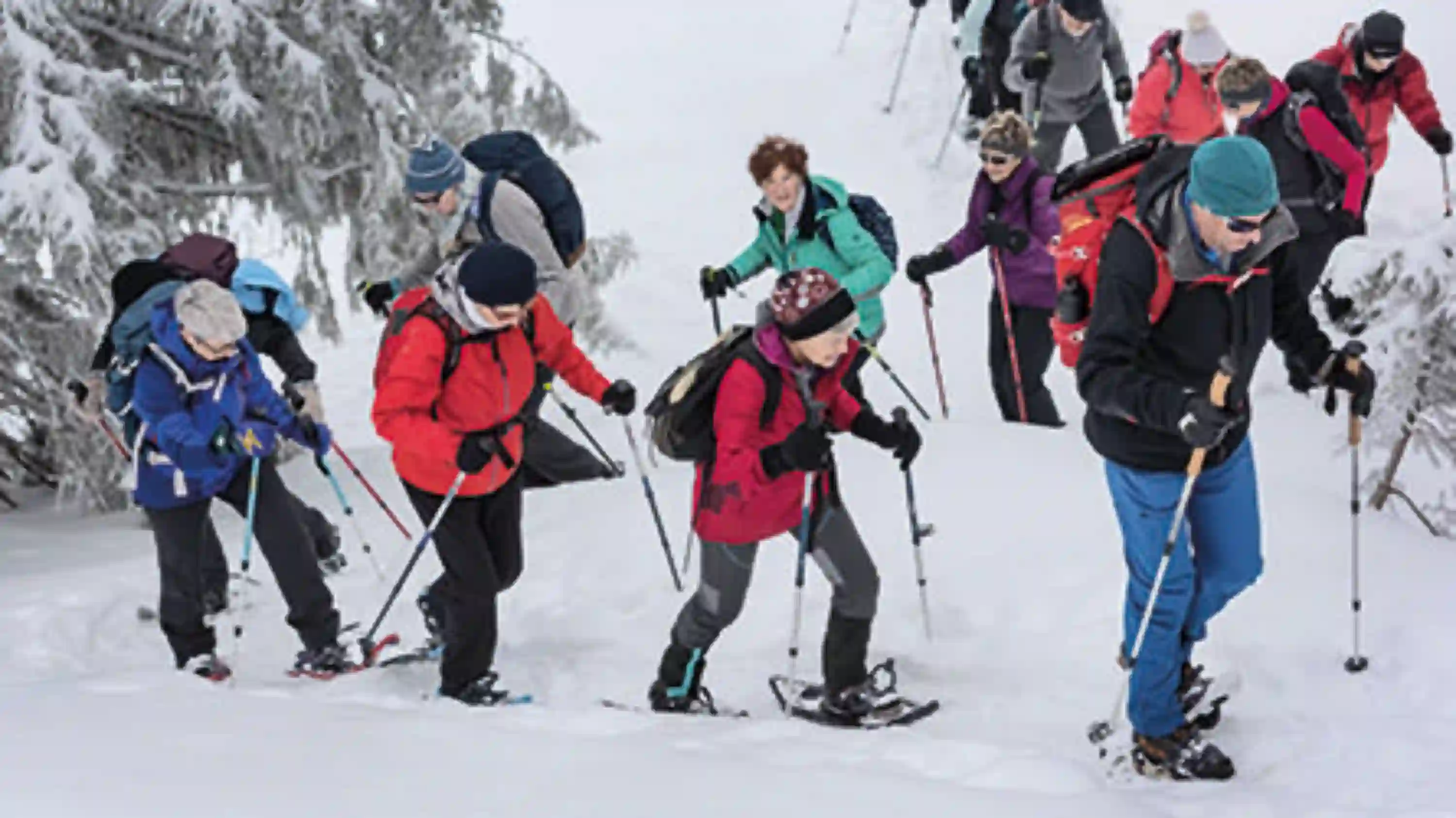 Eine Gruppe Seniorinnen und Senioren beim Schneeschuhwandern. 