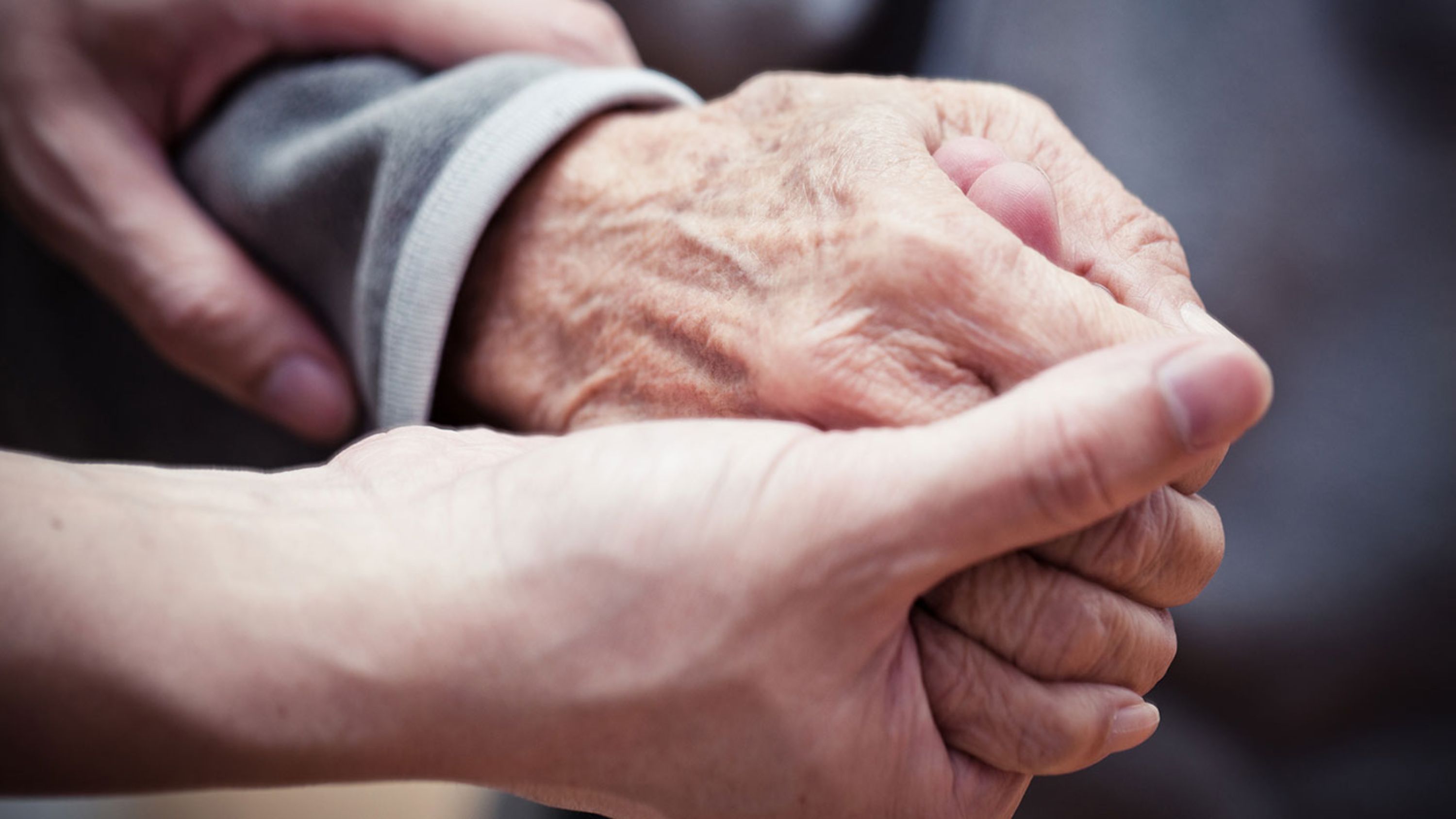 Helfende Hände junge Hand hält ältere Hand