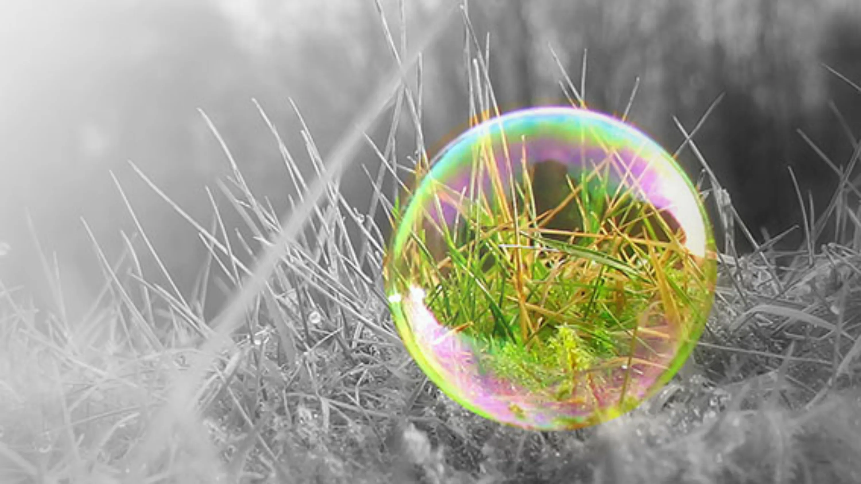 Bild Hoffnung schenken